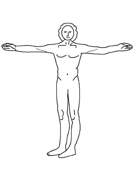 Select one of 1000 printable coloring pages of the category educational. Human Body coloring pages. Free Printable Human Body ...