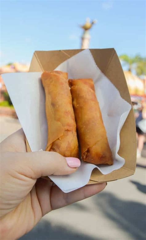 See more ideas about magic kingdom food, disney world food, best disney world food. The best snack at Disney Magic Kingdom! OHMYGOSH! This one ...