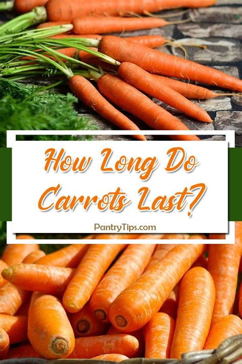 While it can be tempting to make a bunch of diy disposable baby wipes, i wouldn't advise it. How Long Do Carrots Last? in 2020 | Carrots, Freezing ...
