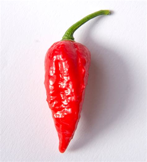 Oct 04, 2020 · top 10 hottest peppers in the world 1. Scoville scale: The hottest chillies in the world- in pictures