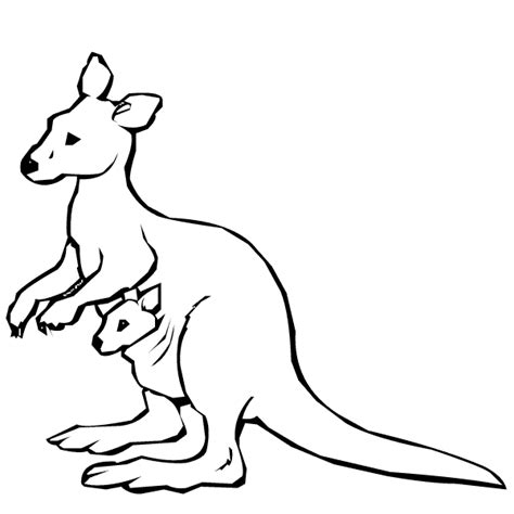 Read more information about the kangaroo » Kangaroo coloring page - Animals Town - animals color ...