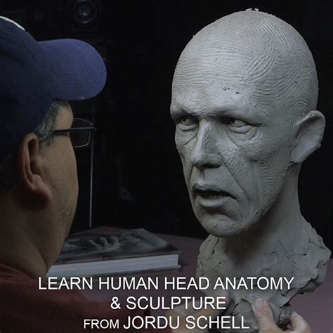 Small anatomical bust great for reference. Human Head Anatomy & Sculpture. . Learn head anatomy and ...