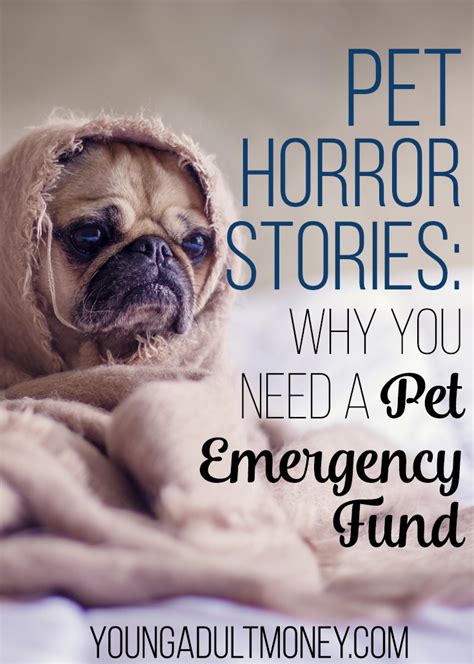 April 23 at 11:55 am ·. Pet Horror Stories - Why You Need a Pet Emergency Fund ...