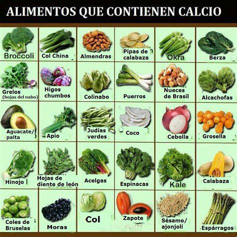 Descubre cuales son los alimentos que tienen más cantidad de yodo y otros nutrientes. alimentos veganos ricos en yodo - Buscar con Google | Foods that contain calcium, Foods with ...