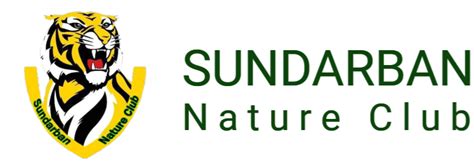 Sundarban National Park Tour Operator In Kolkata|Best Tour Operator for Sundarban in Kolkata