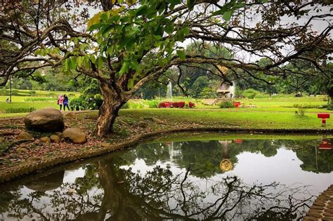 Kebun raya bogor bisa dikatakan sebagai sebuah kebun raya yang paling tua di asia tenggara atau bahkan dunia. Spot-spot Foto di Kebun Raya Bogor yang Instagramable