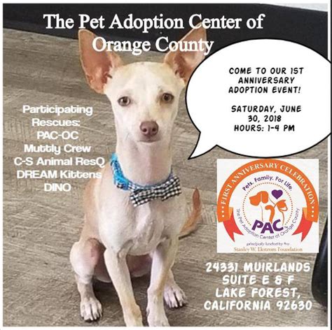 View adoptable dogs and cats online now. First Anniversary Kickoff Adoption Event - The Pet ...