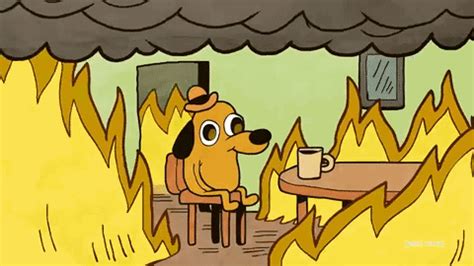 Some are funny, and others are informative. this is fine dog fire meme gifs | WiffleGif