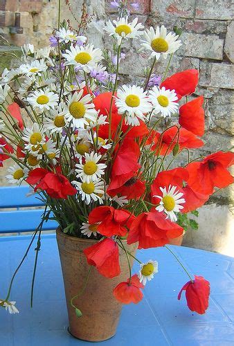 This photo is about monochrome, red flowers, rouge. coquelicots bleuets nature - Page 3