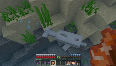 Dolphins are lured by dropped items that are inside nearby water blocks, knocking them around and chasing them. Minecraft: Dolphins, Update Aquatic - Minecraft Guide ...