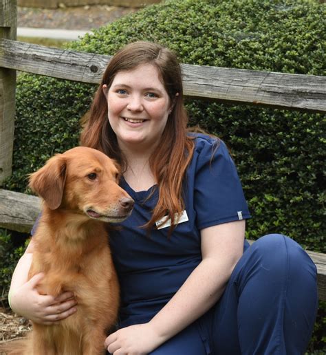 Onslow animal hospital is jacksonville's #1 veterinarian clinic. Our Team | North Paw Animal Hospital in Durham, NC