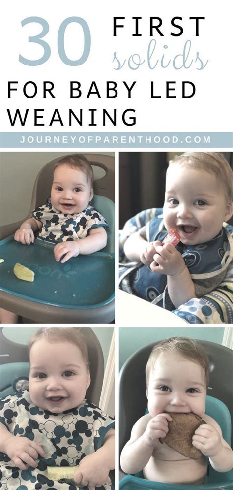 Firstly, lets get all the names out of the way: 30 First Foods Using Baby Led Weaning : Introducing Solids ...