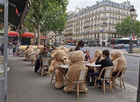 Places rotterdam, netherlands cafe café teddy bear. Parisian café using giant teddy bears to ensure social ...