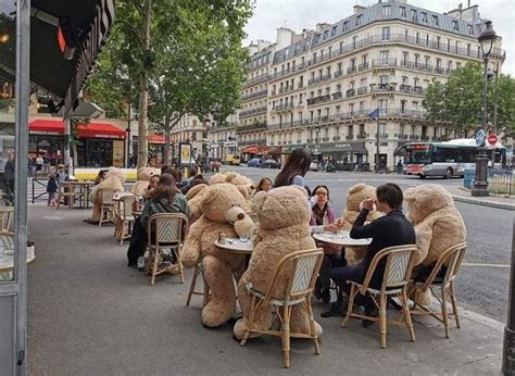 Places rotterdam, netherlands cafe café teddy bear. Parisian café using giant teddy bears to ensure social ...