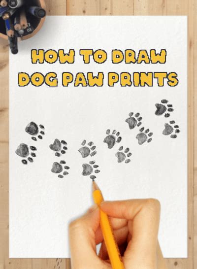Learn to draw a dog paw print. Pin on Easy Dog Drawing Step by Step Tutorials