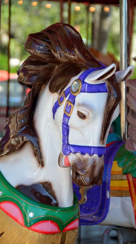 Which prices shares between $28 and $30 each. Merry Go Round Free Stock Photo - Public Domain Pictures