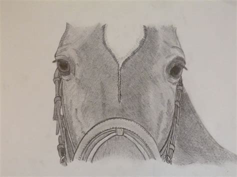 See more of paarden schilderen en tekenen in opdracht on facebook. Paarden Na Tekenen Makkelijk - Paard met Pastelkrijt, by ...