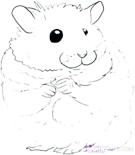 Print all of our hamster coloring pages and bring. Hamster Coloring Pages at GetDrawings | Free download