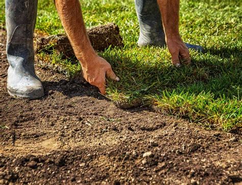 The sand is precision sieved to the desired fractions. Top Dressing 101: Sand Versus Soil - Centenary Landscaping ...