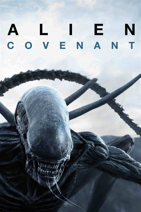 If you count how does she compare to the other female characters of the alien franchise? Alien: Covenant (2017) Movie Review - Aussieboyreviews