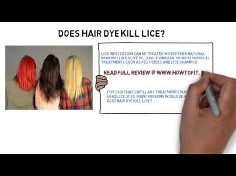Does Hair Dye Kill Lice? Nits And Eggs Detailed Guide ...