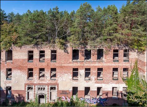 Jedem gartenhaus das passende dach! Dach Garten Foto & Bild | motive, beelitz, heilstätten ...