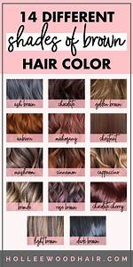14 Different Shades Of Brown Hair Color 2022 Ultimate Guide