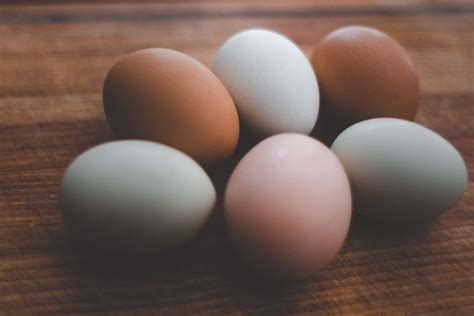 Telur ayam jawa vs telur bebek. 8 Perbedaan Telur Ayam dan Telur Bebek