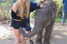 funny elephant sniffing woman