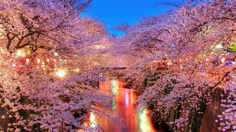 To help cut down spam, in order to create/edit, your account must be at least 90 days old and have a combined karma of over 100. Japan is absolutely gorgeous in the spring. : pics