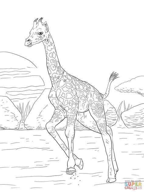 Bring den tierpark zu dir nach hause. Giraffe Ausmalbild - kinderbilder.download | kinderbilder ...
