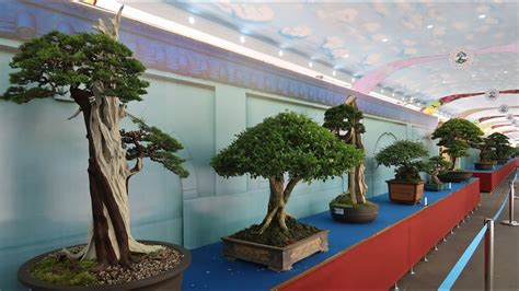 We were at malaysia international trade and exhibition centre or better known as mitec recently and we stumbled upon a café called anggun chef café. Asia - Pacific Bonsai Exhibition 2019 - YouTube