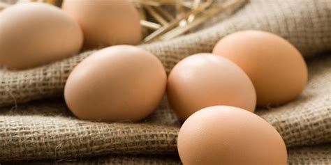 Beli telur jepang online berkualitas dengan harga murah terbaru 2021 di tokopedia! Bekal Cepat Saji Dengan Telur Bebek Gulung ala Jepang ...