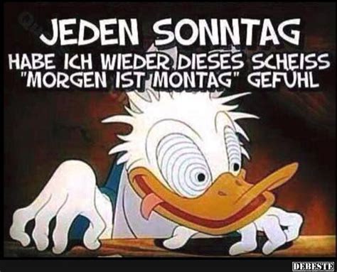 Was machst du gewöhnlich am abend? Jeden Sonntag habe ich wieder dieses.. | Lustige Bilder ...