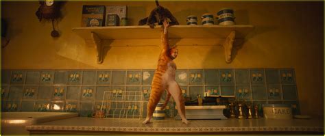 Check spelling or type a new query. 'Cats' Movie Is Now Available for Streaming - How to Watch ...