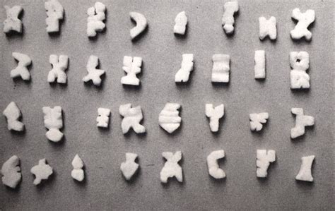 Vitrine of reference christian boltanski 1971. Cours du 28 septembre 2015 - L'art moderne