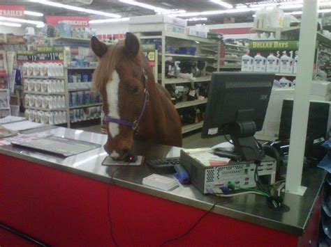 Sbi life premium payment pay your sbi life insurance premium payment using any of our atms. Here's my friend Clifford behind the counter at Tractor Supply. He denied my credit card (after ...