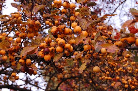 Check spelling or type a new query. botanischer garten dusseldorf | Mini garden, Garden ...