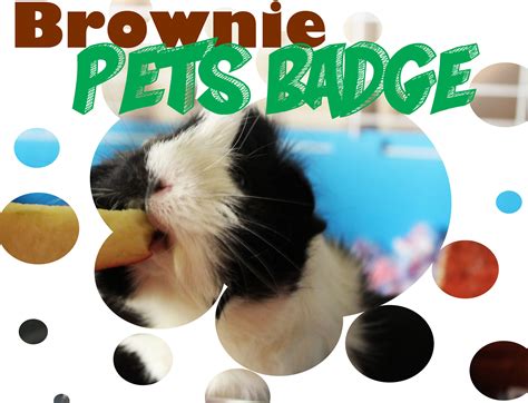 Find out what care different pets need 2. Brownies - Mighty Girls Rock