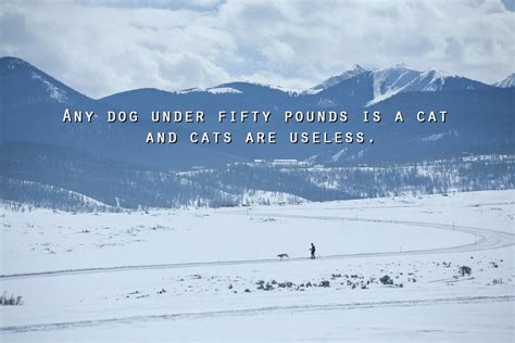 Dogs under 50 lbs are cats and cats are pointless. If Ron Swanson Quotes Were Motivational Posters | Ron swanson quotes, Ron swanson, Funny quotes ...
