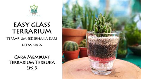 Habitat asli tanaman ini memang berada di area gersang, namun itu bukan. Easy Glass Terrarium | Terrarium Sederhana dari Gelas Kaca ...