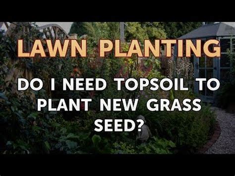 If you can get them in equal amounts, great. Do I Need Topsoil to Plant New Grass Seed? - YouTube