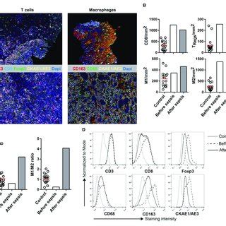 Not all infections are superficial however, which is why the other signs of early sepsis are also important to recognize. | Multiplex IHC on tissue before and after sepsis. (A) Images showing T... | Download Scientific ...