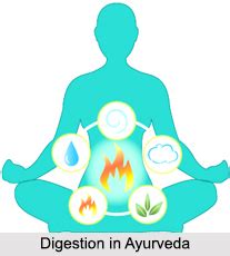 The kamasutra lays a lot of importance on touch, and not only during intercourse. Digestion in Ayurveda, Concepts of Ayurveda