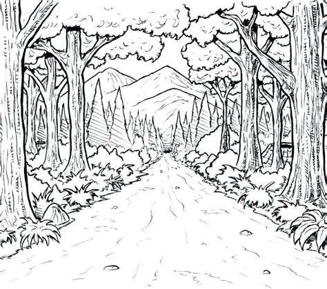 Download this free picture about rainforest coloring pages from pixabay's vast library of public domain images and videos. Forest Habitat Coloring Pages at GetColorings.com | Free ...