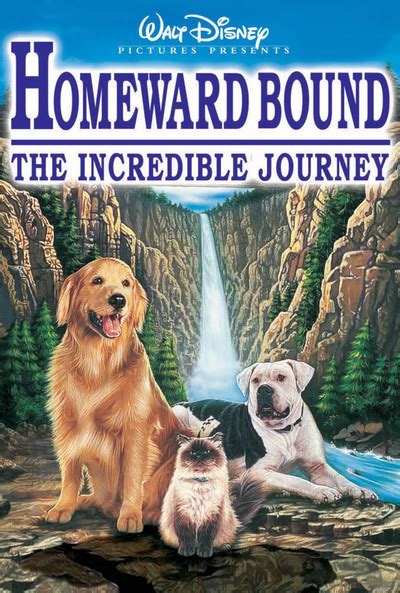 This week the joke failed me—two movies with dogs up for review while, as i said in writing about the other one, my own dog. Homeward Bound: The Incredible Journey movie review (1993 ...