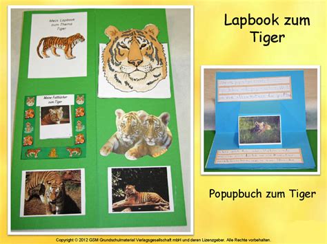 Maybe you would like to learn more about one of these? Lapbook Haustiere Grundschule - Heimidee