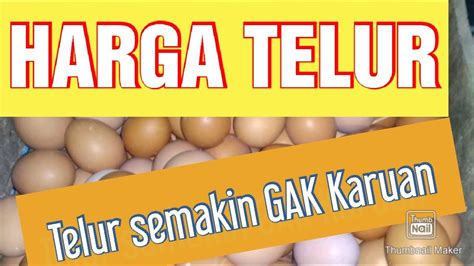 Harga ayam potong di indonesia masih cenderung fluktuatif dan tidak stabil. HARGA TELUR HARI INI 15 DES 2019 - YouTube