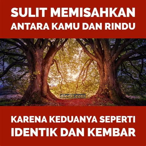 Cinta itu seperti berbagi membaca buku, ia tak akan bertahan lama jika dua hati tak berada pada halaman yang sama. 75 Kata Kata LDR Lucu Lengkap dengan Gambar Gokil ~ diedit.com