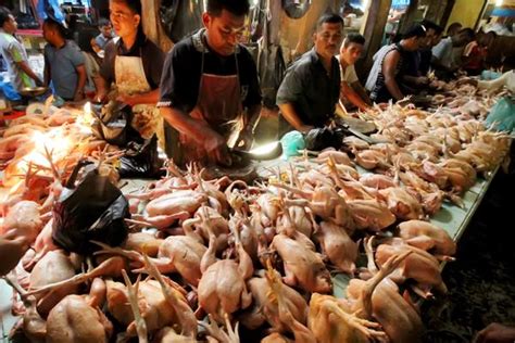 Harga ayam lalap di ponorogo. Harga Daging Ayam Kampung di Bali Naik 15,24% - Kabar24 ...